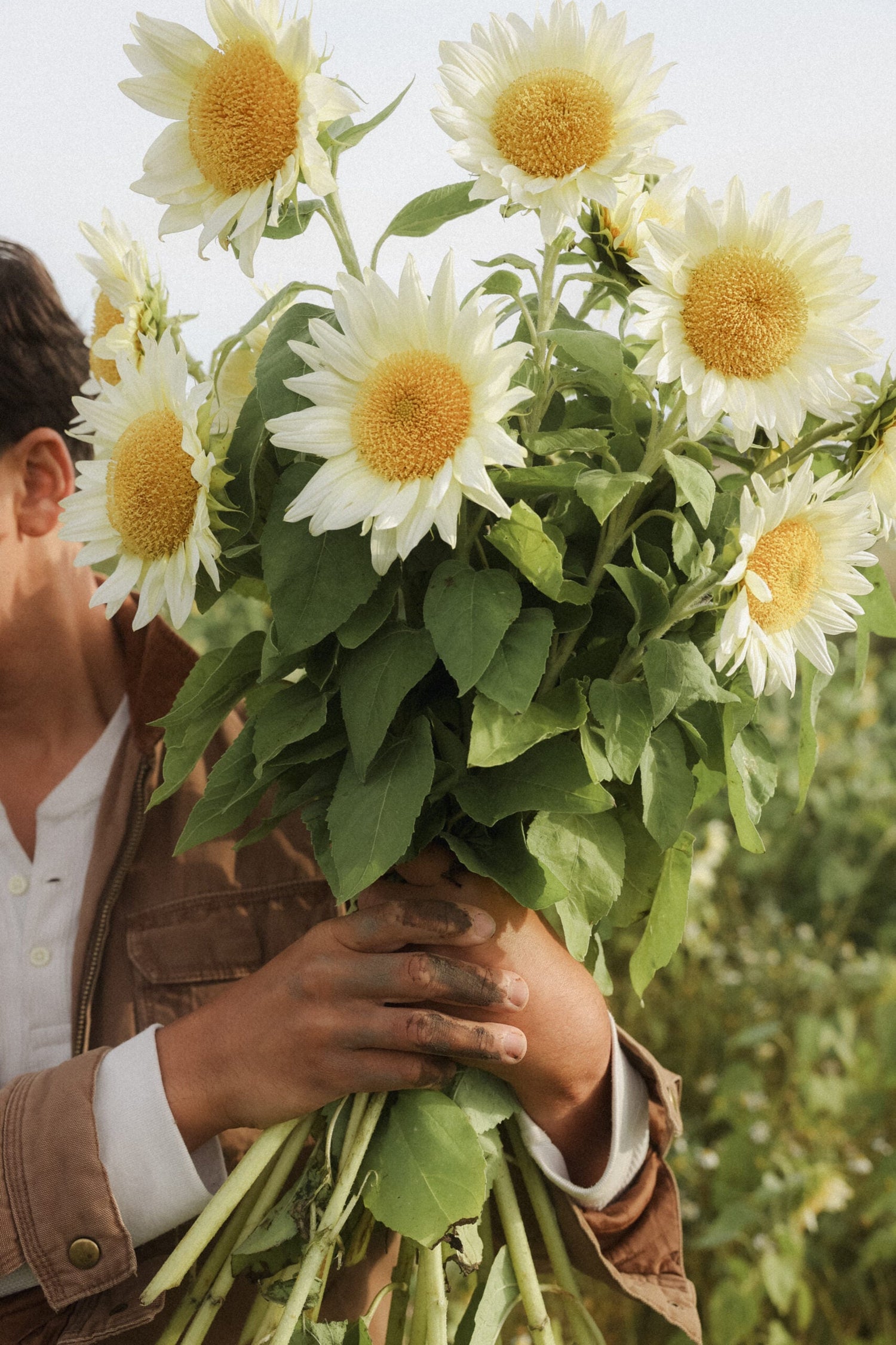 Solros - White Sun F1