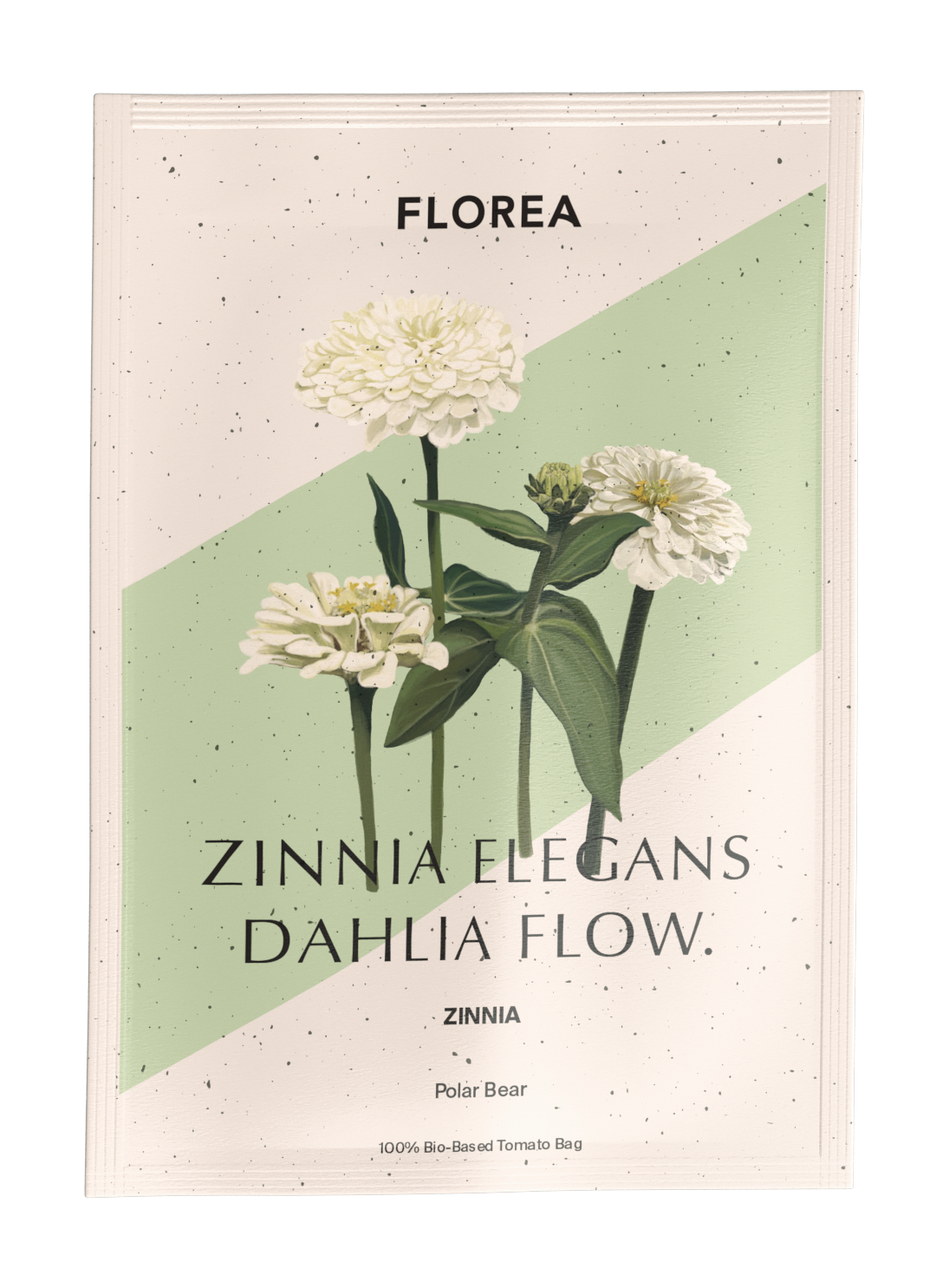Zinnia - Dahl Flow Polar Bear